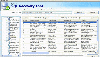 SQL Server Database screenshot