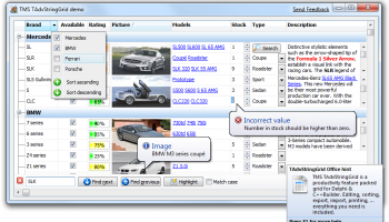 TAdvStringGrid screenshot