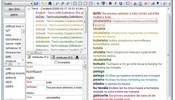 tlTerm Terminology Software screenshot