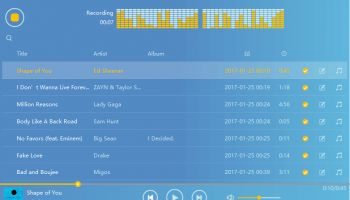 Cinch Audio Recorder screenshot