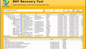 Backup Recovery Tool screenshot