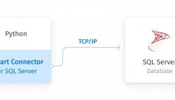 SQL Server Python Connector by Devart screenshot