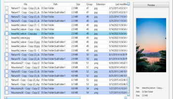 DupInOut Duplicate Finder screenshot