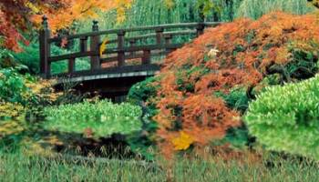 Autumn Scenery screenshot