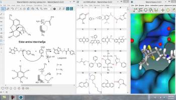 Marvin Suite screenshot