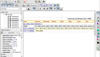 Reportizer screenshot