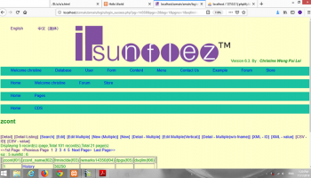 ipsunflez program builder screenshot