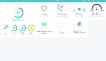 Fitbit screenshot