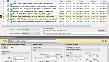 Pazera Free MKV to AVI Converter screenshot