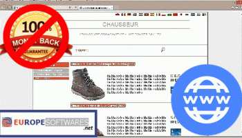 EuropeSoftwares LittleWebBusiness screenshot