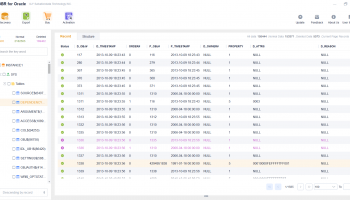 DBR for Oracle screenshot
