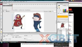 Adobe Flash Player screenshot
