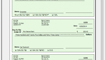 Print Checks screenshot