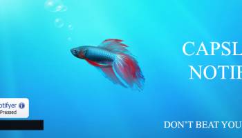 CAPSLOCK Notifier screenshot