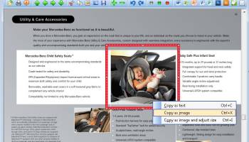 PDF Snipping Tool screenshot