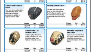 CleverCat screenshot