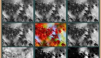 Ultra Grayscale Converter screenshot