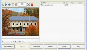 Flash Video to Image Converter screenshot