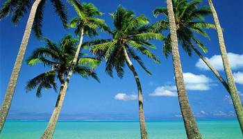 dArt Tropical Islands vol.1 screenshot