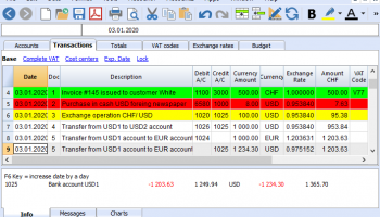 Banana Accounting for Windows screenshot
