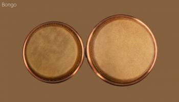 Bongo for Win8 UI screenshot