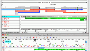 Contig screenshot