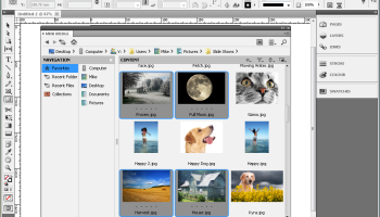 Adobe InDesign CS5 screenshot