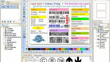 Label Spirit PrintOnly screenshot