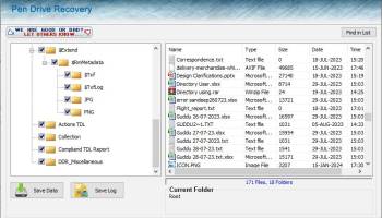 Pen Drive Data Recovery Service screenshot