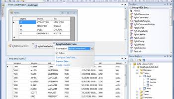 dotConnect Express for PostgreSQL screenshot