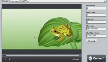 Amazing Flash to Audio Converter screenshot