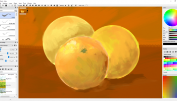 YoupiPaint Pro for Window screenshot