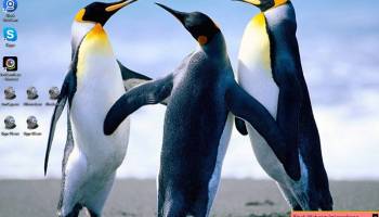 Block WebCam and microphone screenshot