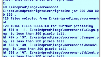 RightSize screenshot