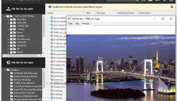 RecoveryRobot Undelete screenshot