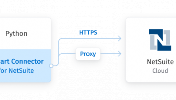 NetSuite Python Connector by Devart screenshot