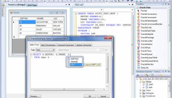dotConnect Express for Oracle screenshot