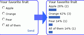 Internet Survey screenshot