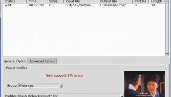 Convert WMV to FLV screenshot