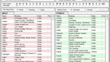 HippoName screenshot