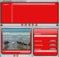 Viscom Store 3GP Converter screenshot