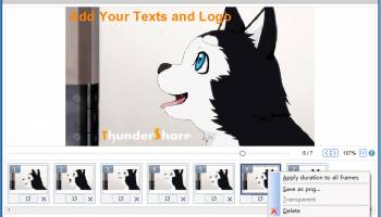 ThunderSoft GIF Editor screenshot