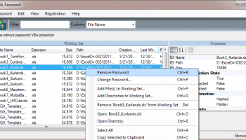 Reset VBA Password screenshot