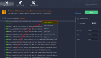 Portable Wise Registry Cleaner Professional screenshot