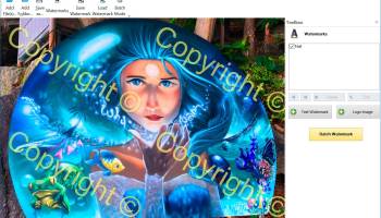 Batch Picture Protector screenshot