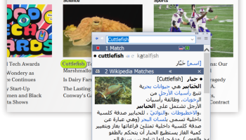 VerbAce-Pro screenshot