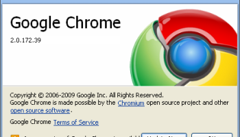 Google Chrome 2 screenshot
