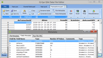 Q-Eye Portable QVD/QVX files Editor screenshot