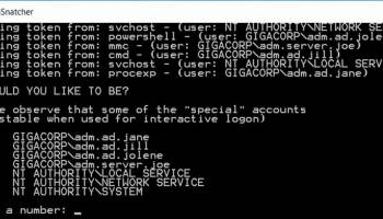 TokenSnatcher screenshot