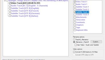 MKVCleaver Portable screenshot